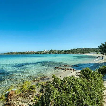 Gorgeous In Ot Apartment *